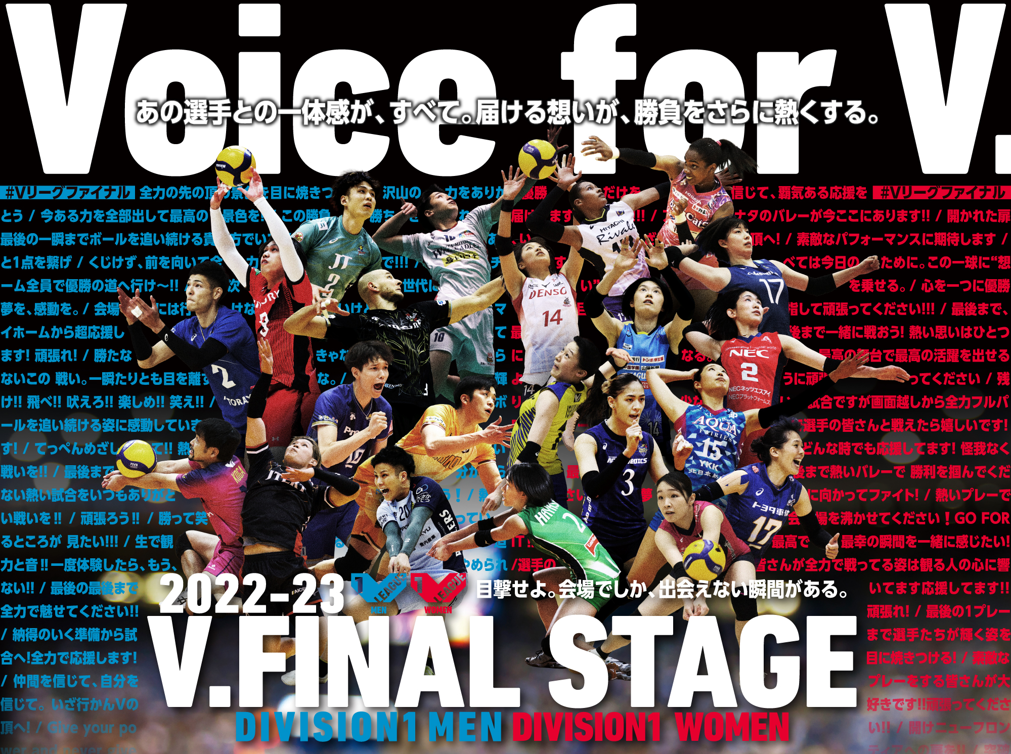 2022-23 V.FINAL STAGE