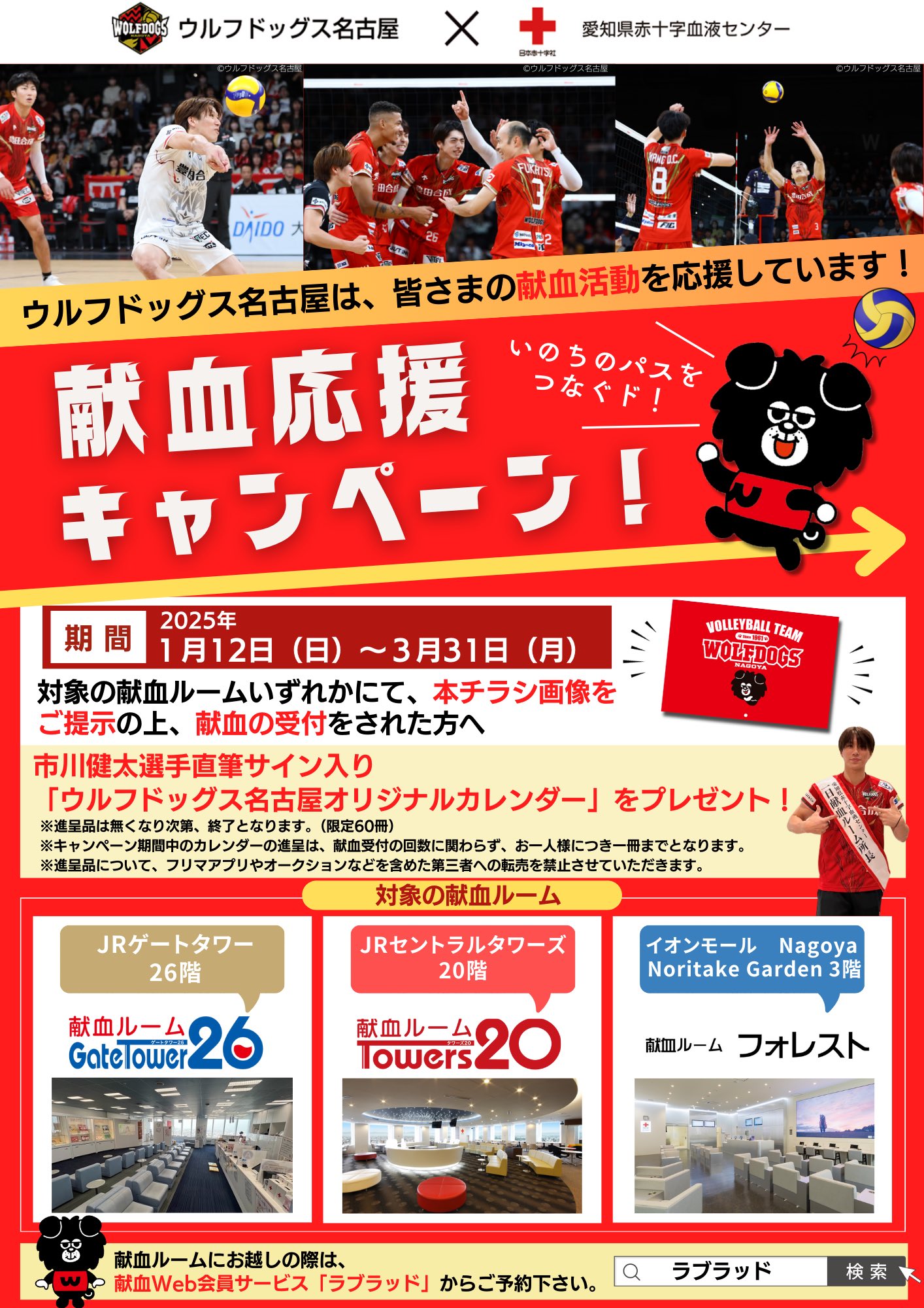 画像5