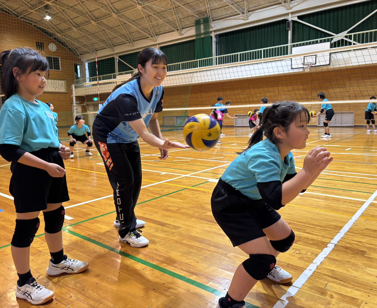 画像1